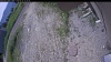 Web Cam Image - Tue, 06/23/2026 8:59am PDT