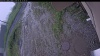 Web Cam Image - Fri, 06/26/2026 10:49am PDT