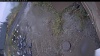 Web Cam Image - Sun, 10/12/2025 9:34am PDT