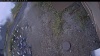 Web Cam Image - Sun, 10/12/2025 9:29am PDT