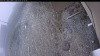 Web Cam Image - Wed, 05/06/2026 9:24am PDT