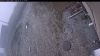 Web Cam Image - Thu, 05/07/2026 9:59am PDT