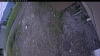 Web Cam Image - Sat, 06/06/2026 2:09pm PDT