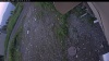 Web Cam Image - Sat, 07/04/2026 7:55pm PDT