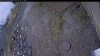 Web Cam Image - Sun, 10/12/2025 9:24am PDT