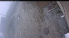 Web Cam Image - Thu, 05/07/2026 9:54am PDT
