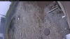 Web Cam Image - Thu, 05/07/2026 9:49am PDT