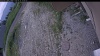 Web Cam Image - Thu, 06/25/2026 9:59am PDT