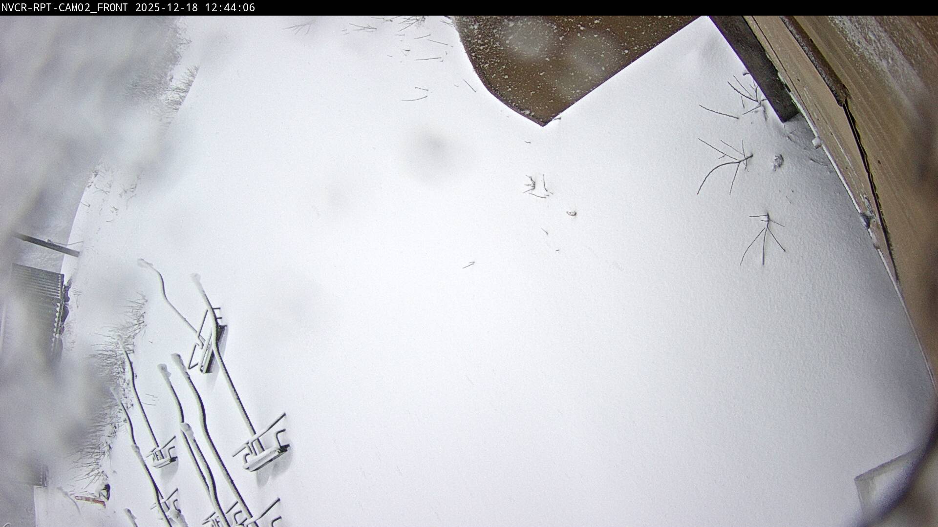 Web Cam History Image - 358