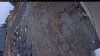 Web Cam Image - Tue, 11/18/2025 1:14pm PST