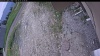 Web Cam Image - Wed, 06/03/2026 12:54pm PDT