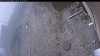 Web Cam Image - Thu, 05/07/2026 9:39am PDT