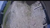 Web Cam Image - Fri, 05/22/2026 11:39am PDT