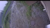 Web Cam Image - Fri, 06/26/2026 11:04am PDT
