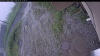 Web Cam Image - Fri, 06/26/2026 10:59am PDT