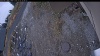 Web Cam Image - Sun, 11/02/2025 3:04am PST