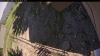 Web Cam Image - Mon, 06/30/2025 11:09am PDT