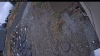 Web Cam Image - Sun, 11/02/2025 2:49am PST