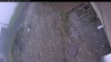 Web Cam Image - Wed, 05/13/2026 7:34am PDT