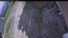 Web Cam Image - Sat, 05/30/2026 1:44pm PDT