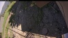 Web Cam Image - Mon, 06/30/2025 10:49am PDT