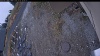 Web Cam Image - Sun, 11/02/2025 2:19am PST