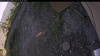 Web Cam Image - Tue, 09/16/2025 2:54pm PDT