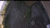 Web Cam Image - Tue, 09/16/2025 2:49pm PDT