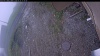Web Cam Image - Mon, 05/25/2026 4:24pm PDT