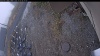 Web Cam Image - Sun, 11/02/2025 1:29am PDT