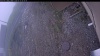 Web Cam Image - Wed, 05/13/2026 5:19am PDT