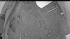 Web Cam Image - Fri, 05/22/2026 8:19pm PDT