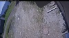 Web Cam Image - Wed, 05/27/2026 11:24am PDT