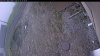 Web Cam Image - Wed, 05/13/2026 3:59pm PDT
