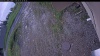 Web Cam Image - Fri, 06/05/2026 5:39pm PDT