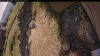 Web Cam Image - Tue, 09/16/2025 10:24am PDT