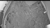 Web Cam Image - Wed, 05/13/2026 4:34am PDT