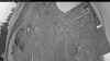 Web Cam Image - Wed, 05/13/2026 4:14am PDT