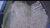 Web Cam Image - Fri, 05/22/2026 11:14am PDT