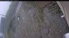 Web Cam Image - Fri, 05/15/2026 5:19am PDT