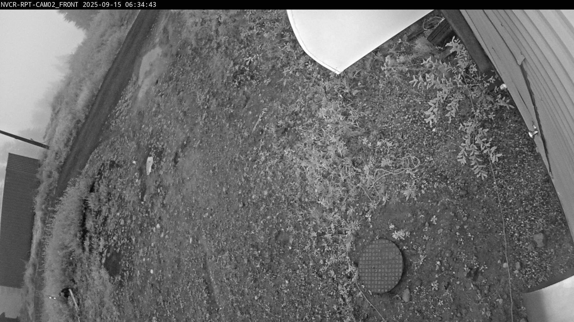 Web Cam History Image - 43