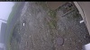 Web Cam Image - Fri, 05/15/2026 5:14am PDT