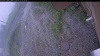 Web Cam Image - Fri, 06/26/2026 4:59am PDT