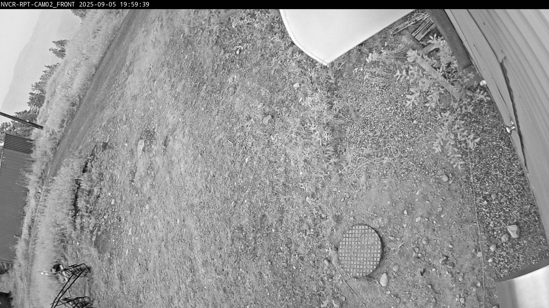 Web Cam History Image - 437