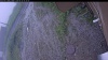 Web Cam Image - Fri, 06/26/2026 4:39am PDT