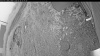 Web Cam Image - Fri, 06/26/2026 4:09am PDT
