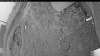 Web Cam Image - Fri, 06/26/2026 3:59am PDT