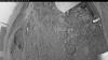 Web Cam Image - Fri, 06/26/2026 3:39am PDT