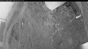 Web Cam Image - Fri, 06/26/2026 3:34am PDT