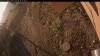 Web Cam Image - Tue, 09/16/2025 6:29am PDT